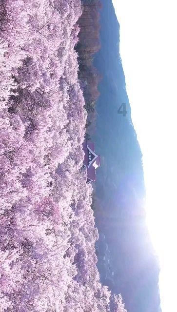探索知识星球平台DNF:我有一事不明!狂战是固伤,黑洞没有江山如画好?的神奇世界!